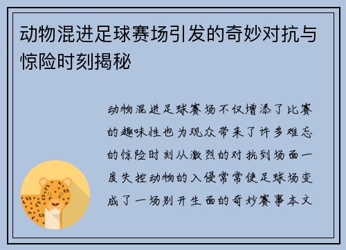 动物混进足球赛场引发的奇妙对抗与惊险时刻揭秘