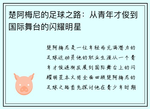 楚阿梅尼的足球之路：从青年才俊到国际舞台的闪耀明星