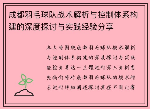 成都羽毛球队战术解析与控制体系构建的深度探讨与实践经验分享